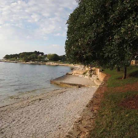 Bungalow-lavanda-1 Hotel 3*
